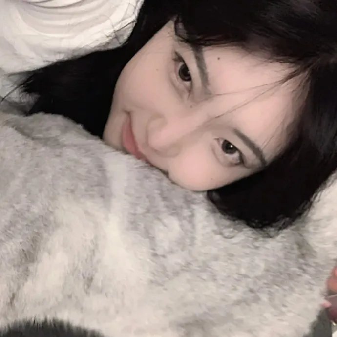 谁说我结不了婚