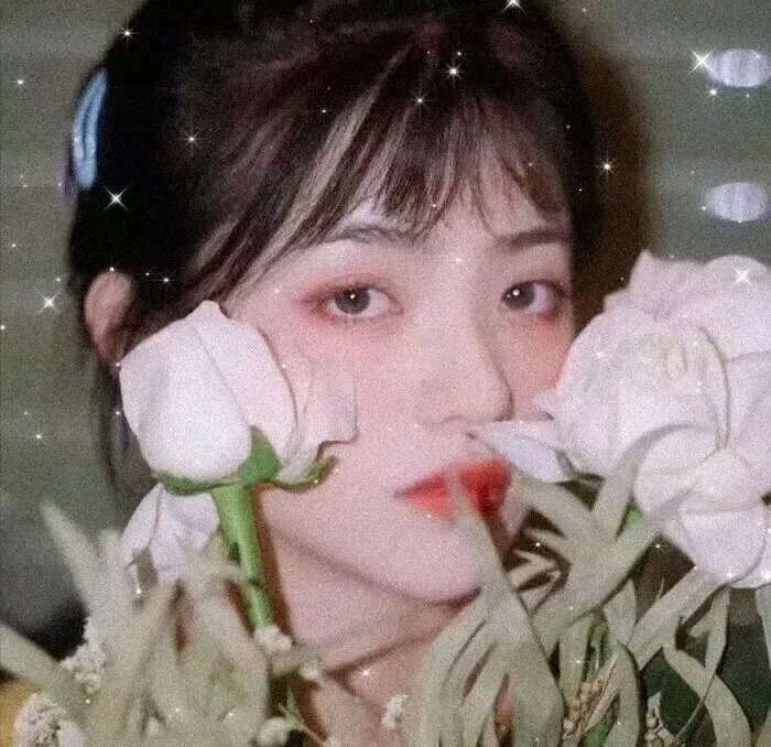 女学生艳史